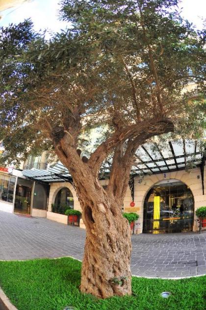Lancaster Raouche Hotel - image 13