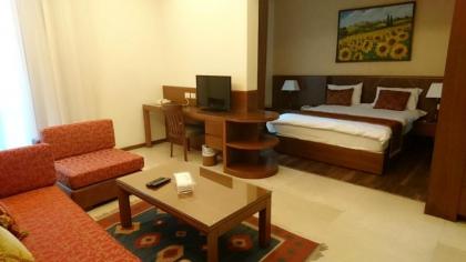 King Suites Hotel - image 6
