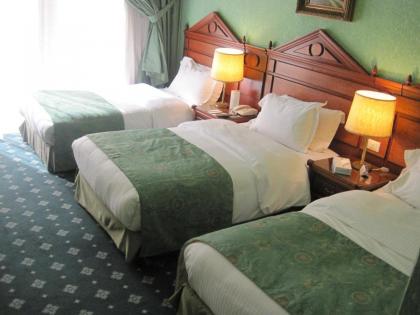 Serenada Golden Palace - Boutique Hotel - image 11