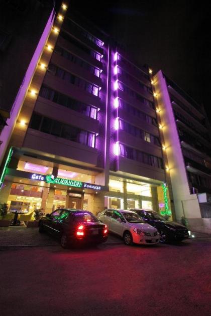 Lavender Home Hotel - image 15