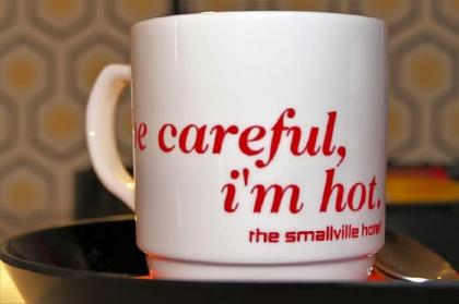 The Smallville Hotel - image 8